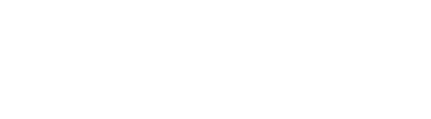 FaresOnSale.com Logo